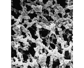 Millipore ΢�מVĤ