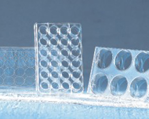 Greiner �������B(y��ng)��