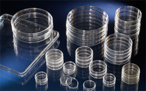 NUNC ���B(y��ng)��