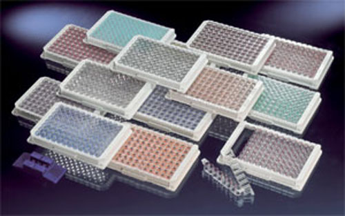 NUNC ø��(bi��o)��