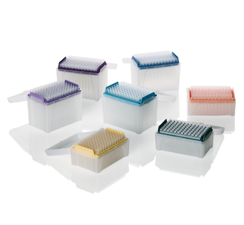 BIOHIT �˜����^